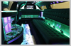 Interior photo 2 of Perth Wedding Cars, the White Chrysler Limo by Showtime Limousines Perth